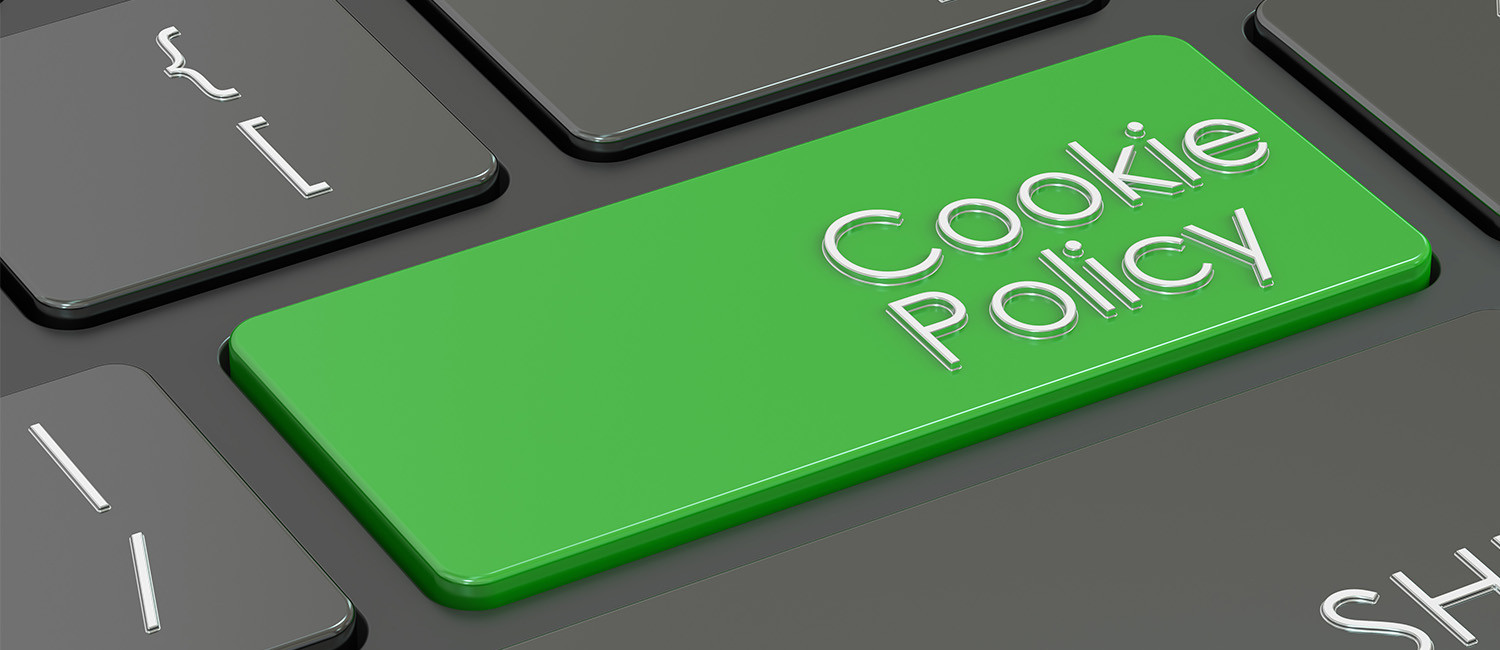 Website Cookie Policy For Hotel Parmani