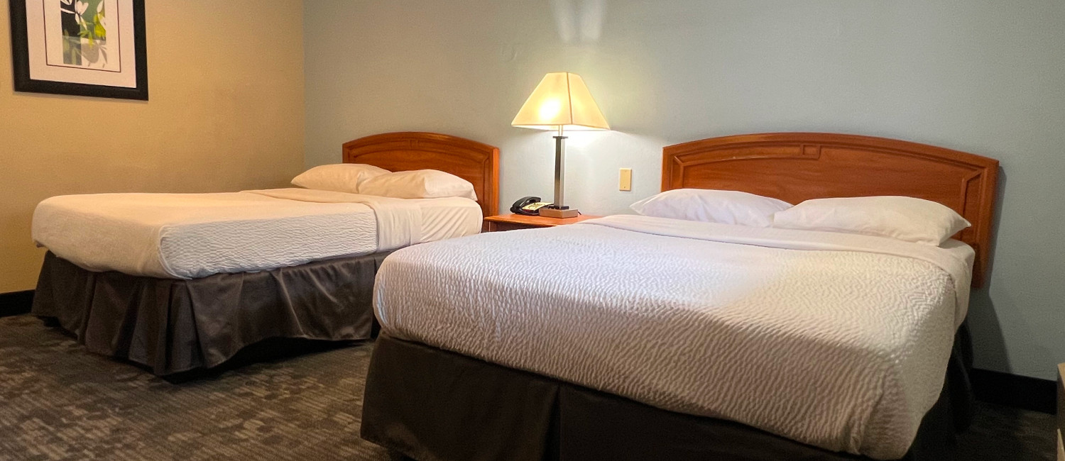 Check Out Hotel Parmani