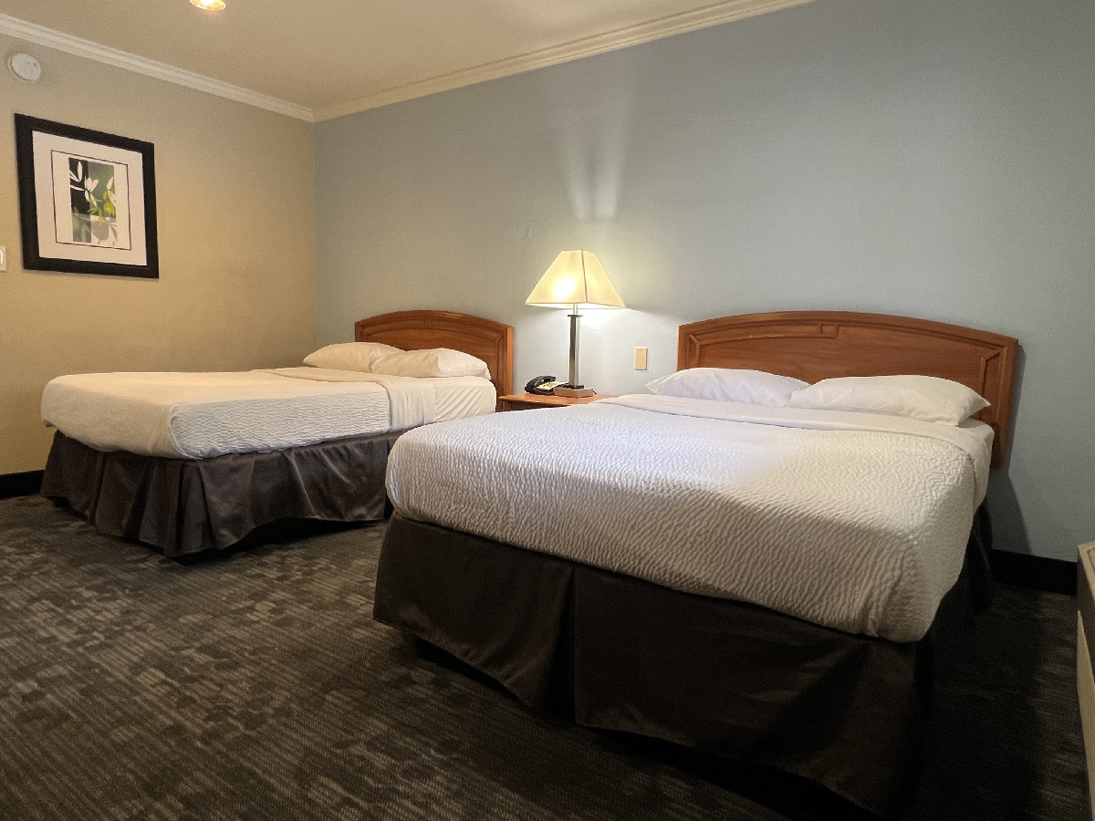 Standard Two Double Beds