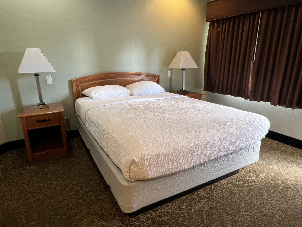 Queen Bed Accessible - Roll-In Shower